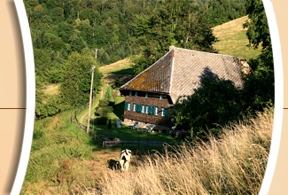 Urlaub im Albrechtenhäusle - Buchenbach im Schwarzwald